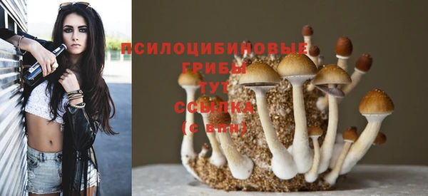 прущая мука Богданович