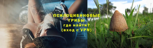 стафф Богородск