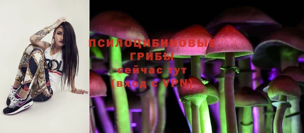 марки lsd Богородицк