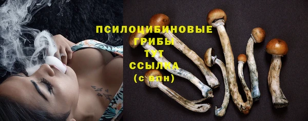 прущая мука Богданович