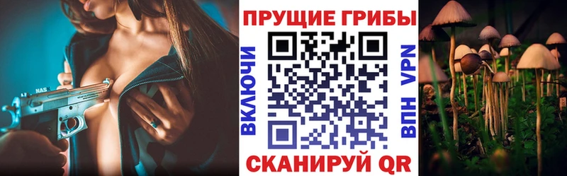 Псилоцибиновые грибы MAGIC MUSHROOMS  Купить закладки  Пыталово 